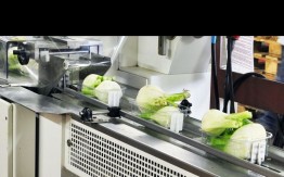 Alimentare
